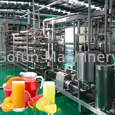 SUS304 500T/D Dòng chế biến táo tự động chiết xuất nước trái cây
