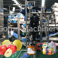 Công nghiệp thực phẩm Nhà máy chế biến táo xay nhuyễn SUS 304