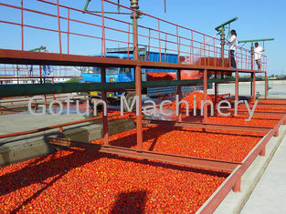 Dây chuyền chế biến cà chua 380V thương mại / Nhà máy chế biến cà chua xay nhuyễn