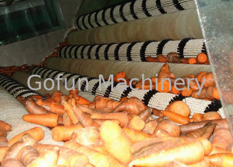 Nhà máy chế biến cà rốt công nghiệp / Thiết bị chế biến cà rốt ổn định