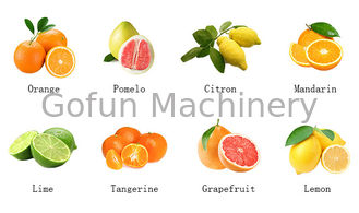 Dây chuyền chế biến cam quýt SUS304 500T / D Chiết xuất nước trái cây tự động
