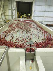 Tiết kiệm nước Tiết kiệm năng lượng Sản xuất dây chuyền sản xuất nước ép táo tập trung
