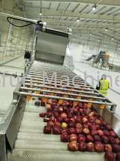 Dây chuyền chế biến táo công nghiệp Thiết bị chế biến nước ép trái cây