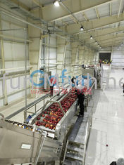 Dây chuyền chế biến táo 3T / H cho nhà máy hoàn chỉnh nước ép