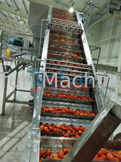 Dây chuyền sản xuất tương cà chua 25T / H Làm đầy vô trùng cấp thực phẩm