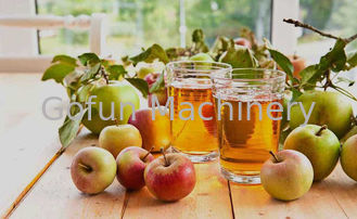 Nhà máy chế biến nước ép táo cô đặc SS316 25t / H cho đồ uống