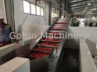 Dây chuyền sản xuất cà chua dán tiết kiệm năng lượng để giặt sấy 100T / D