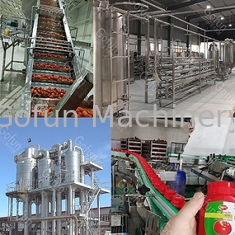 Dây chuyền sản xuất chế biến bột cà chua tươi 100T / D Tiết kiệm năng lượng hiệu quả cao