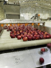 10 T/H  Apple Jam Making Machine Automatic Fruit Processing Line 15kw