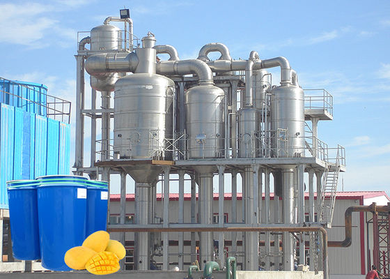 10t/H 20t/H Concentrated Mango Pulp Processing Line