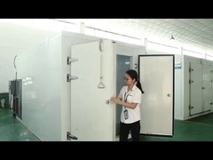 Fruit and vegetable drying machine