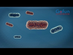 High-Technology High Pressure Processing Machine