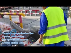 Làm thế nào một dây chuyền chế biến cà chua quy mô lớn hoạt động?