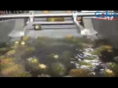 Đường chế biến dứa có năng suất cao cho nước ép tập trung và nhiều hơn nữa