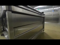 Máy làm sạch rau củ quả tự động Bộ hoàn chỉnh dây chuyền làm sạch rau củ quả