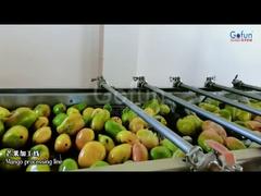 Dây chuyền sản xuất nước ép xoài cao cấp