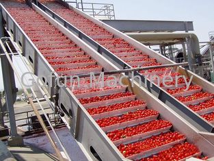 Máy điều khiển thực phẩm PLC Chế biến cà chua Dây chuyền nước