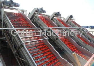 Dây chuyền chế biến rau công nghiệp Dây chuyền chế biến cà chua Tiết kiệm nước Hoạt động dễ dàng