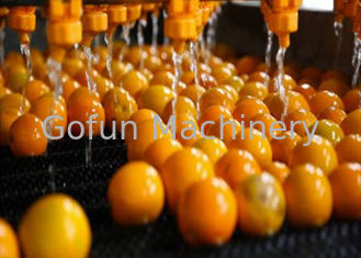 Dây chuyền chế biến cam quýt công nghiệp Đơn vị chế biến cam chanh Bảo hành 1 năm