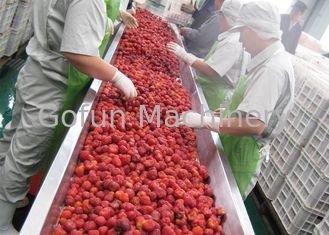 380V Berry mứt trái cây Máy móc chế biến 20T / H ISO 9001