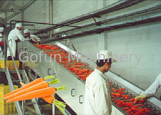 Nhà máy chế biến cà rốt chuyên nghiệp / Thiết bị chế biến rau quả