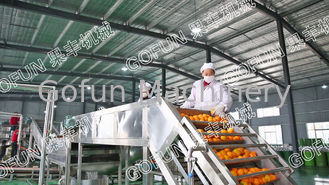 Máy làm nước ép trái cây đa chức năng để rửa / phân loại 1500w - 2200w