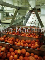 Dây chuyền chế biến nước sốt cà chua cô đặc bằng thép không gỉ 304 Tiết kiệm nước