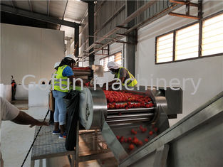 Nhà máy chế biến tương cà chua cấp thực phẩm 600T / D SS304
