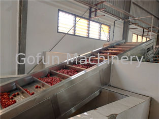Nhà máy chế biến cà chua xay nhuyễn 250T / D 440V công nghiệp