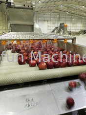 Máy làm mứt táo 10 T / H Dây chuyền chế biến trái cây tự động 15kw