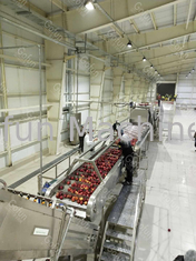 Dây chuyền chế biến nước ép táo 380V SUS 304 cho ngành công nghiệp thực phẩm